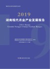 湖南现代农业产业发展报告  2019 封面