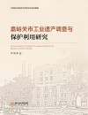 嘉峪关市工业遗产调查与保护利用研究 封面