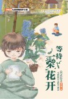 等待一朵花开 封面
