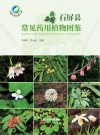 石屏县常见药用植物图鉴 封面