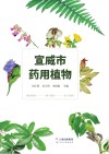 宣威市药用植物 封面