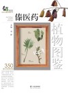 傣医药植物图鉴 封面