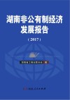 湖南非公有制经济发展报告 封面