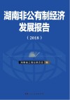 湖南非公有制经济发展报告 封面