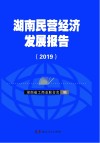 湖南民营经济发展报告  2019 封面