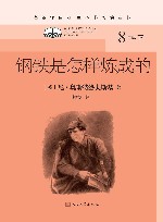 钢铁是怎样炼成的 封面