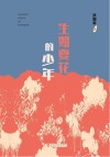生如夏花的少年 封面