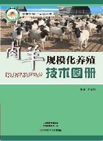 肉羊规模化养殖技术图册 封面