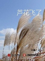 芦花飞了 电子书封面