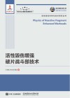 活性毁伤增强破片战斗部技术 封面