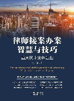 律师接案办案智慧与技巧  重大民事案件复盘 封面