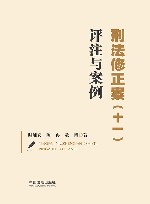 刑法修正案  11  评注与案例 封面
