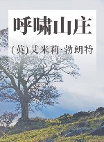 呼啸山庄 封面