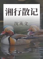 湘行散记  精装典藏版 封面