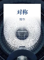 对称 封面