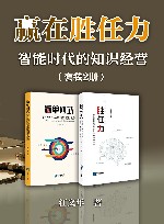 赢在胜任力  智能时代的知识经营  共2册 封面