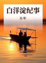 白洋淀纪事 封面