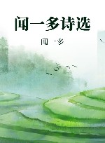 闻一多诗选 封面