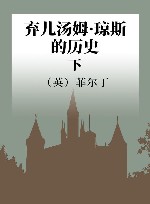 弃儿汤姆·琼斯的历史  下 封面