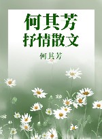何其芳抒情散文 封面