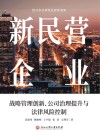 新民营企业  战略管理创新、公司治理提升与法律风险控制 封面