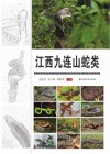江西九连山蛇类 封面