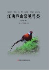 江西庐山常见鸟类  第2卷 封面