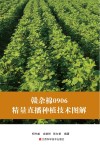 赣杂棉0906精量直播种植技术图解 封面