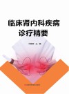 临床肾内科疾病诊疗精要 封面