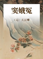 窦娥冤 封面