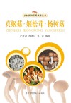 真姬菇  姬松茸  杨树菇 封面
