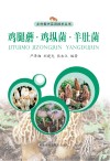 鸡腿蘑·鸡（土从）菌·羊肚菌 封面