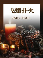 飞蛾扑火 封面