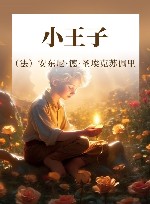小王子 封面