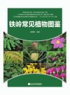 铁岭常见植物图谱