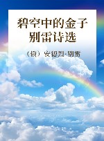 金色俄罗斯丛书  18  碧空中的金子 别雷诗选 封面