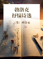 经典译文 勃洛克抒情诗选 封面