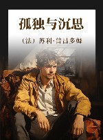 孤独与沉思 封面