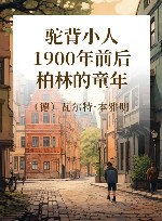 驼背小人 1900年前后柏林的童年 封面