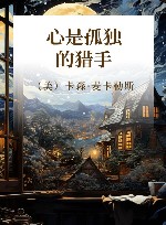 心是孤独的猎手 封面