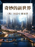 奇妙的新世界 封面