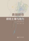 青铜峡市耕地土壤与地力 封面