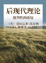 后现代理论  批判性的质疑 封面