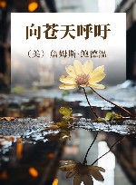 向苍天呼吁 封面