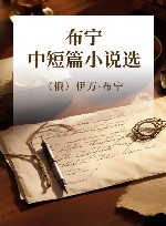 布宁中短篇小说选 封面