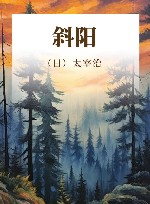 斜阳 封面