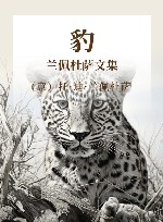 豹  兰佩杜萨文集 封面