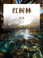 红树林 封面