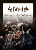 克拉丽莎 封面