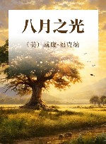 八月之光 封面